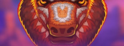 Bison Casino Premia 12 Darmowe Spiny Bez Depozytu 2026