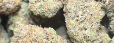 Lume Marijuana Co Michigan’s Finest Cannabis Dispensary