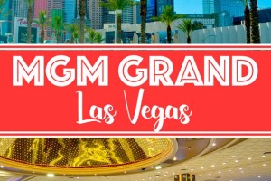 Uk Entered Gambling enterprise Free Spins No deposit: The cold Information At the rear of the newest Sparkle Dallas Home Thought & Investment Security Attorneys