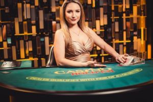 The casino Subtopia newest Siberian Pet: Characteristics, Care, And you may Demeanor